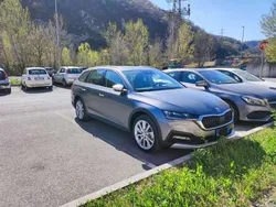 Grigio Usata 2023 Skoda Octavia Scout 4x4 Station wagon | 29.500 € (Super prezzo)