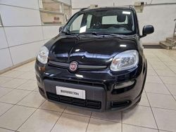 Nero Usata 2022 Fiat Panda S Tre volumi | 12.400 € (Cara)
