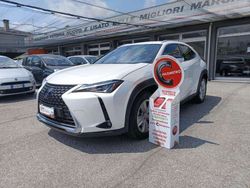 Bianco Usata 2021 Lexus UX Business Edition SUV | 20.900 € (Super prezzo)