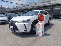 Bianco Usata 2021 Lexus UX Business Edition SUV | 20.900 € (Ottimo prezzo)
