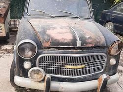 Usata 1950 Fiat 1100 Tre volumi | 200 €