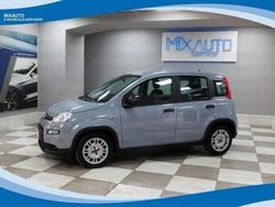 Gray Usata 2023 Fiat Panda Tre volumi | 10.900 € (Buon prezzo)