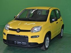 Giallo Usata 2024 Fiat Panda Due volumi | 12.500 € (Buon prezzo)
