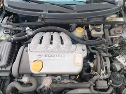Nero Usata 2000 Opel Tigra Edition Coupé | 3000 € (Buon prezzo)