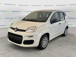 Bianco Nuova 2025 Fiat Grande Panda Icon Due volumi | 13.800 € (Buon prezzo)