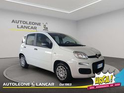 Bianco gelato Nuova 2025 Fiat Panda Icon Tre volumi | 12.800 €