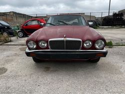 Rosso Usata 1980 Jaguar XJ12 Tre volumi | 3000 €