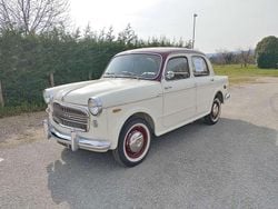 Bianco Usata 1959 Fiat 1100 Tre volumi | 14.500 €