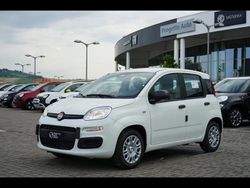 Bianco Nuova 2025 Fiat Panda | 14.000 €
