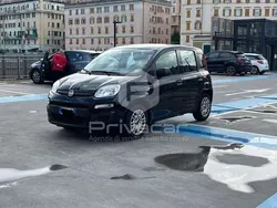 Nero Usata 2021 Fiat Panda S Due volumi | 9790 € (Ottimo prezzo)