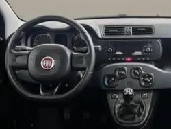 Grigio Usata 2021 Fiat Panda Due volumi | 9500 € (Ottimo prezzo)