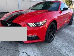 Usata 2017 Ford Mustang Coupé | 26.900 € (Ottimo prezzo)