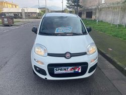 Bianco Usata 2021 Fiat Panda Pop Furgone | 3999 € (Super prezzo)