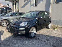 Nero Nuova 2025 Fiat Panda Icon Tre volumi | 11.600 €