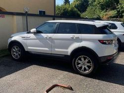 Bianco Usata 2013 Land Rover Range Rover evoque Pure SUV | 11.000 € (Buon prezzo)