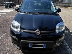 Usata 2023 Fiat Panda S Due volumi | 10.500 € (Ottimo prezzo)