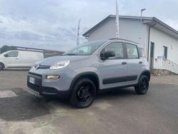 Grigio Usata 2019 Fiat Panda 4x4 S Due volumi | 11.500 € (Buon prezzo)