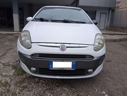 Bianco Usata 2010 Fiat Punto Evo Active Due volumi | 1890 € (Ottimo prezzo)