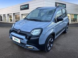Grigio Usata 2021 Fiat Panda Cross Cross Due volumi | 11.300 € (Buon prezzo)