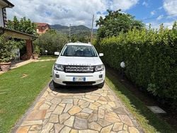 Bianco Usata 2013 Land Rover Freelander 2 SE SUV | 5000 € (Super prezzo)