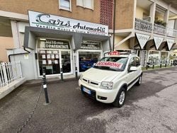 Bianco Usata 2010 Fiat Panda 4x4 Due volumi | 5800 € (Buon prezzo)