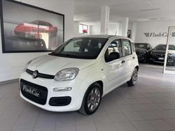 Bianco Usata 2021 Fiat Panda Due volumi | 8999 € (Ottimo prezzo)