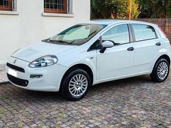 Bianco Usata 2015 Fiat Punto Street Due volumi | 5990 € (Cara)