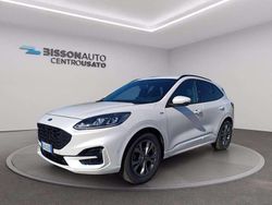 Bianco Usata 2020 Ford Kuga ST-Line SUV | 20.500 € (Molto cara)