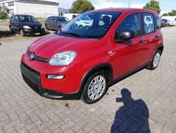 Rosso Nuova 2025 Fiat Grande Panda Due volumi | 13.600 € (Buon prezzo)
