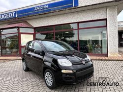 Nero cinema Nuova 2025 Fiat Panda Due volumi | 13.900 €