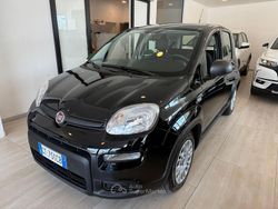 Nero Usata 2024 Fiat Panda Due volumi | 12.700 € (Buon prezzo)