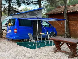 VW T5