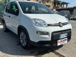 Usata 2023 Fiat Panda Due volumi | 10.000 € (Ottimo prezzo)