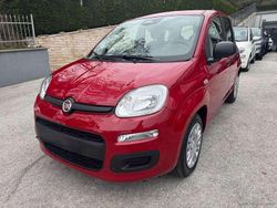 Rosso Nuova 2025 Fiat Panda S Tre volumi | 13.500 €