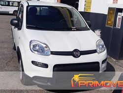 Vari colori Usata 2024 Fiat Panda S Due volumi | 12.700 € (Buon prezzo)