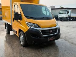 Giallo Usata 2019 Fiat Ducato Furgone | 8999 € (Super prezzo)