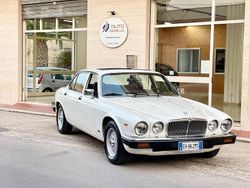 Bianco Usata 1984 Jaguar XJ6 Tre volumi | 11.500 €