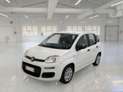 Bianco Usata 2020 Fiat Panda Easy Due volumi | 9900 € (Buon prezzo)