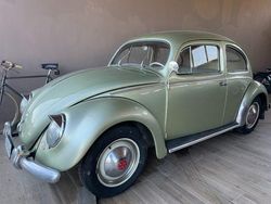 Verde Usata 1956 VW Maggiolino | 29.000 €