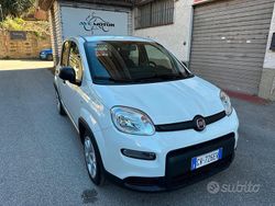 Bianco Usata 2024 Fiat Panda Tre volumi | 12.500 € (Buon prezzo)