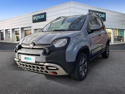 Grigio Usata 2020 Fiat Panda Cross Cross Due volumi | 15.500 € (Buon prezzo)