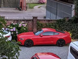 Rosso Usata 2017 Ford Mustang Fastback Coupé | 26.000 € (Ottimo prezzo)