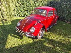 Usata 1963 VW Käfer | 19.000 €