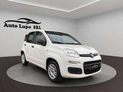 Bianco Usata 2019 Fiat Panda Easy Due volumi | 9000 € (Buon prezzo)