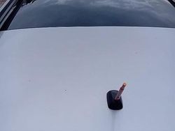 Grigio Usata 2009 Nissan Qashqai SUV | 2500 € (Ottimo prezzo)