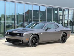 Grigio scuro metallizzato Usata 2019 Dodge Challenger SXT Coupé | 33.200 € (Buon prezzo)