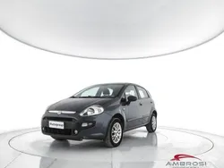 Nero Usata 2010 Fiat Punto Evo Emotion Due volumi | 1400 € (Super prezzo)