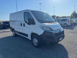Bianco Usata 2020 Citroën Jumper Monovolume | 13.900 € (Super prezzo)