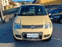 Giallo Usata 2009 Fiat Panda 4x4 Due volumi | 6850 € (Cara)