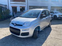 Argento Usata 2020 Fiat Panda Lounge Tre volumi | 9490 € (Buon prezzo)